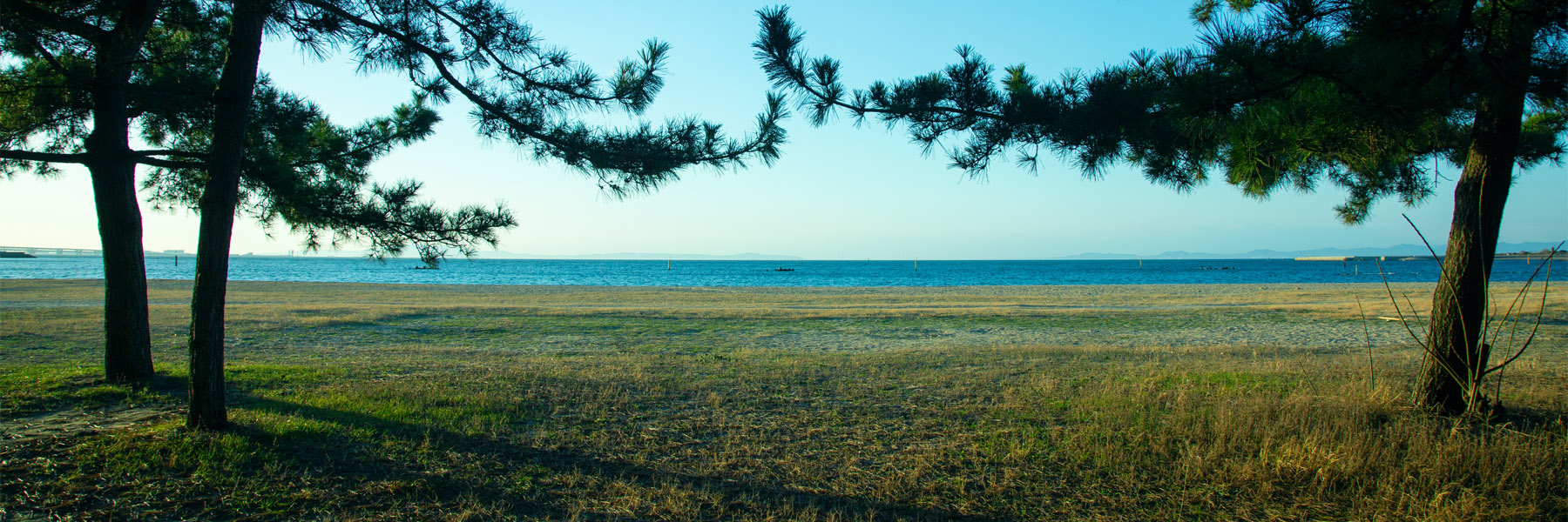 村雨の名の由縁 ─ 和泉八景　貝浦村雨